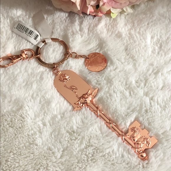 🥀 Beauty and the Beast Enchanted Rose - Picture 4 of 6